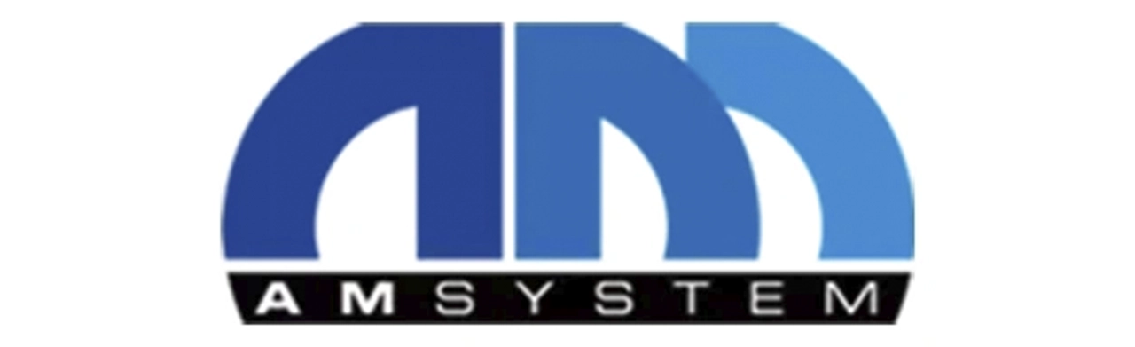 AM System